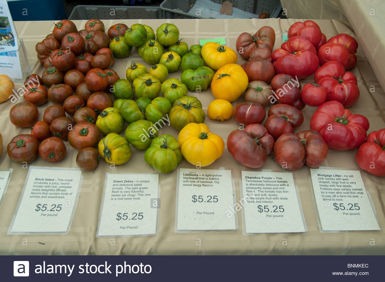 heirloom-tomatoes-on-sale-at-a-farmers-market-isaquah-washington-BNMKEC